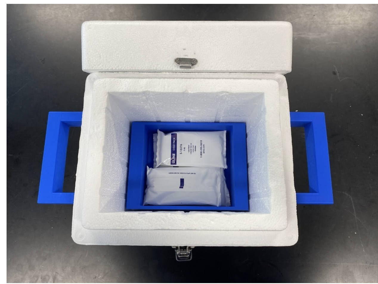 Keep the Cells Alive! Project